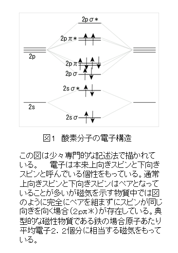 t̎_f̃V~[V@}P